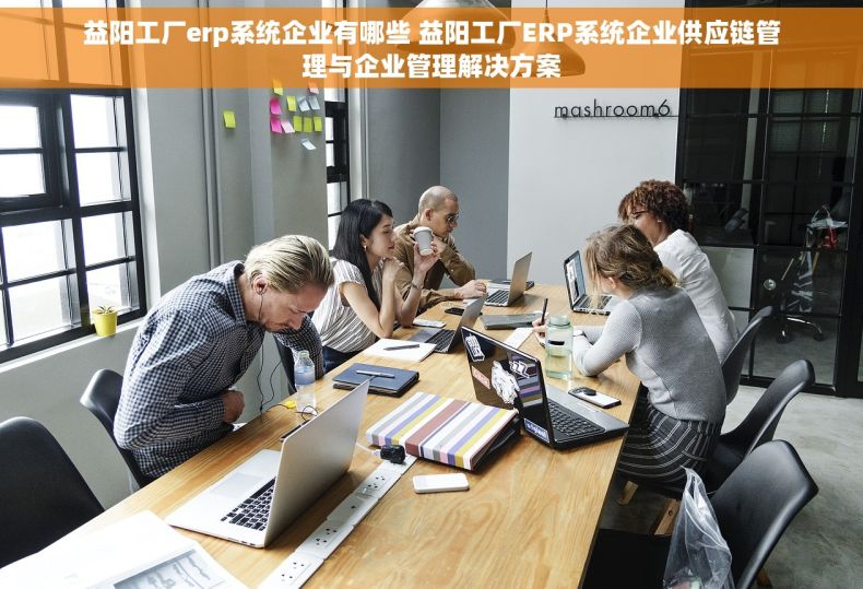 益阳工厂erp系统企业有哪些 益阳工厂ERP系统企业供应链管理与企业管理解决方案