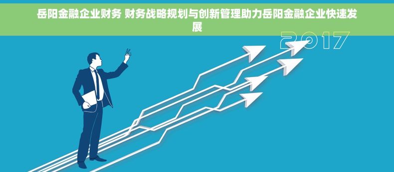 岳阳金融企业财务 财务战略规划与创新管理助力岳阳金融企业快速发展