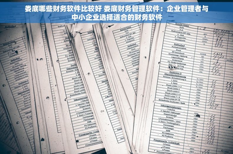 娄底哪些财务软件比较好 娄底财务管理软件：企业管理者与中小企业选择适合的财务软件