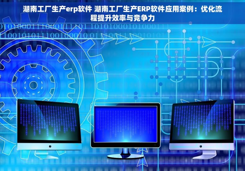 湖南工厂生产erp软件 湖南工厂生产ERP软件应用案例：优化流程提升效率与竞争力