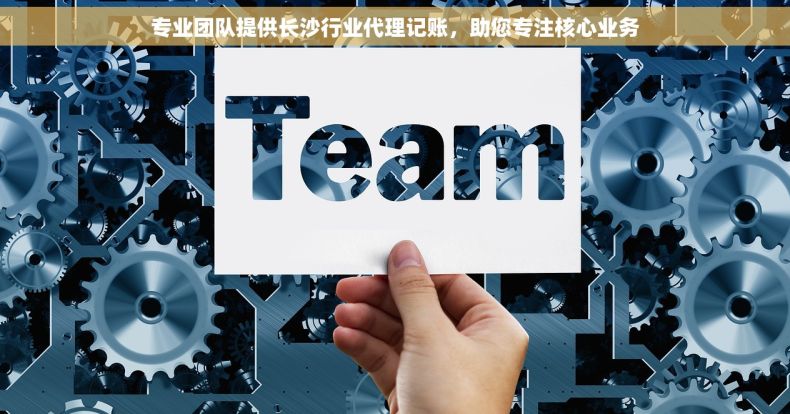 专业团队提供长沙行业代理记账，助您专注核心业务