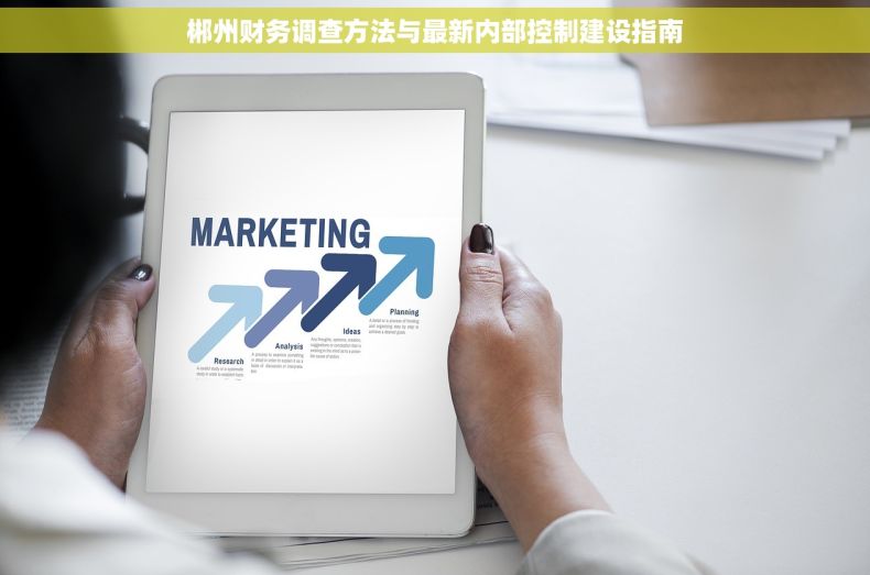 郴州财务调查方法与最新内部控制建设指南