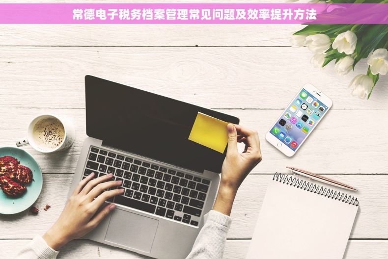 常德电子税务档案管理常见问题及效率提升方法