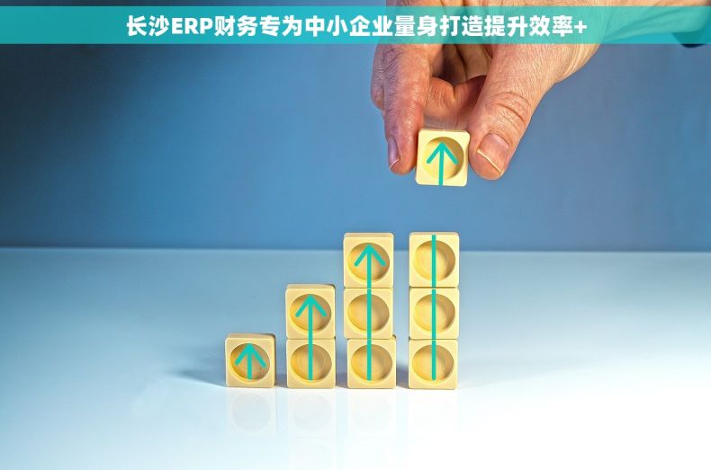 长沙ERP财务专为中小企业量身打造提升效率+