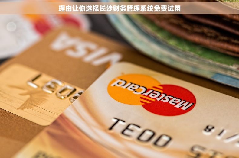 理由让你选择长沙财务管理系统免费试用