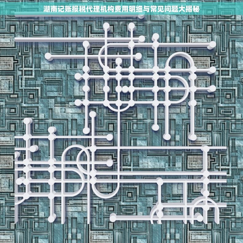 湖南记账报税代理机构费用明细与常见问题大揭秘