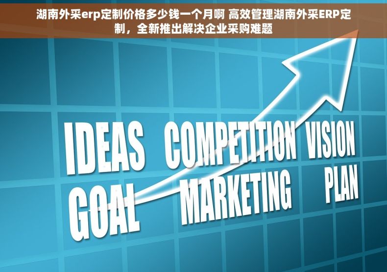 湖南外采erp定制价格多少钱一个月啊 高效管理湖南外采ERP定制，全新推出解决企业采购难题