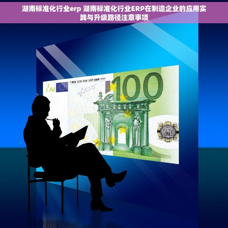 湖南标准化行业erp 湖南标准化行业ERP在制造企业的应用实践与升级路径注意事项