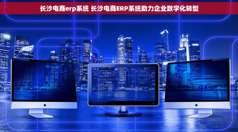 长沙电商erp系统 长沙电商ERP系统助力企业数字化转型