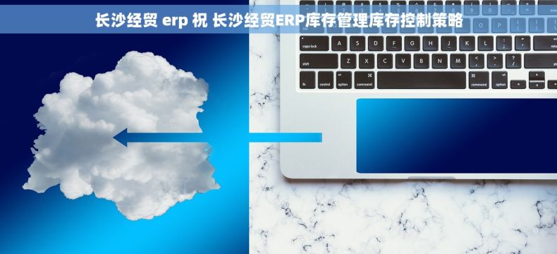 长沙经贸 erp 祝 长沙经贸ERP库存管理库存控制策略