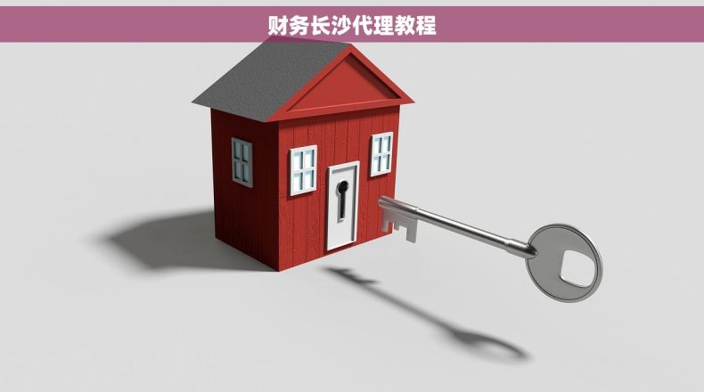 财务长沙代理教程