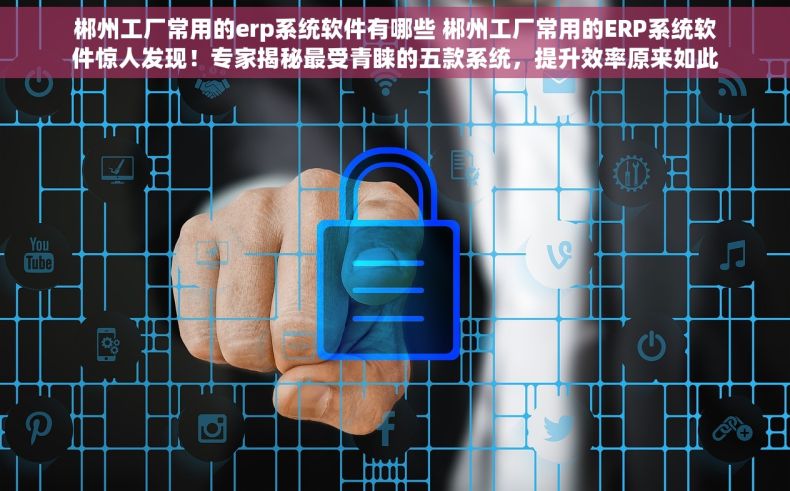 郴州工厂常用的erp系统软件有哪些 郴州工厂常用的ERP系统软件惊人发现！专家揭秘最受青睐的五款系统，提升效率原来如此简单！