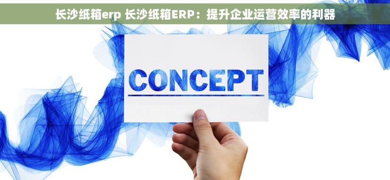 长沙纸箱erp 长沙纸箱ERP：提升企业运营效率的利器