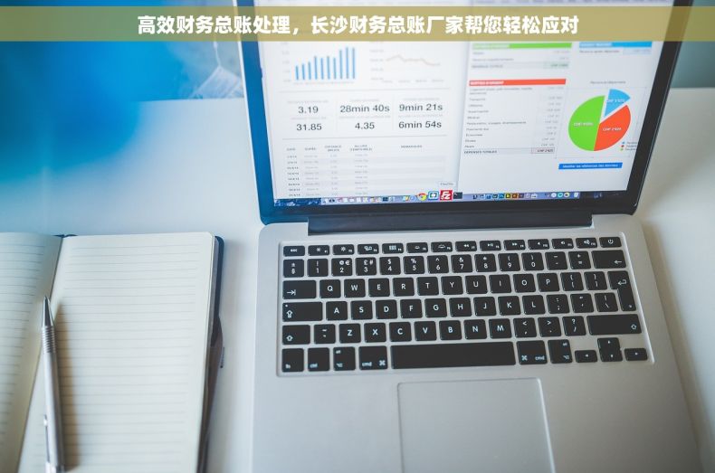 高效财务总账处理，长沙财务总账厂家帮您轻松应对