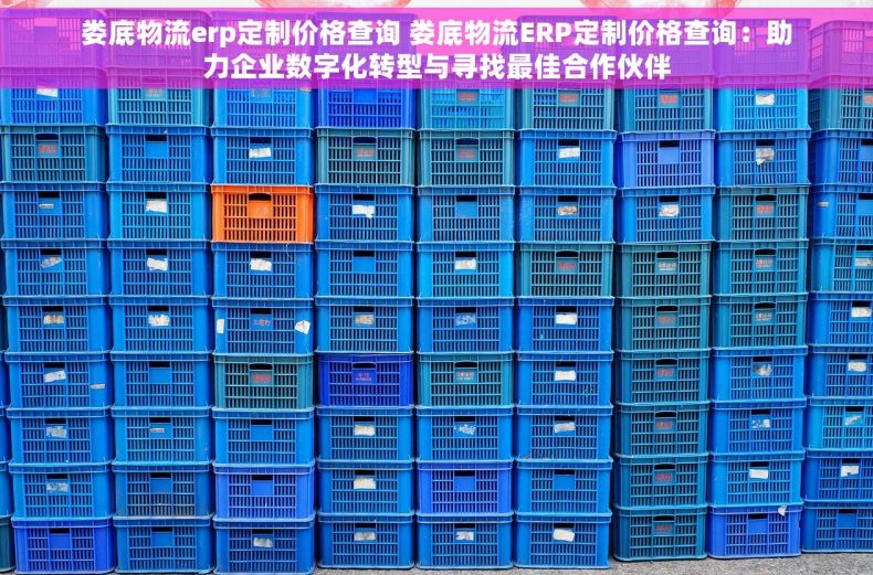 娄底物流erp定制价格查询 娄底物流ERP定制价格查询：助力企业数字化转型与寻找最佳合作伙伴