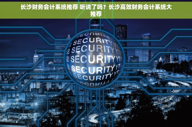 长沙财务会计系统推荐 听说了吗？长沙高效财务会计系统大推荐