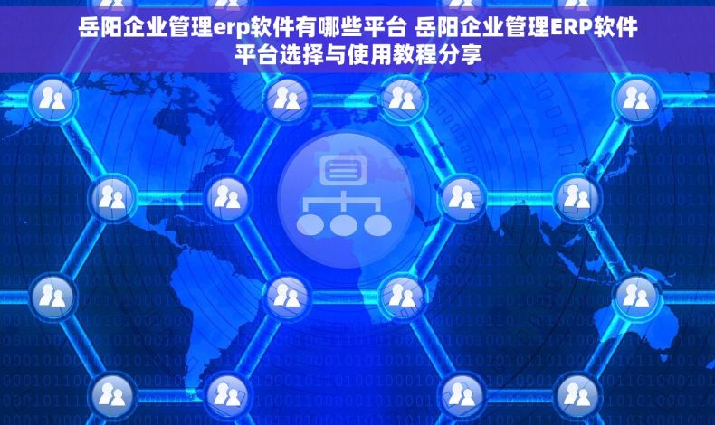 岳阳企业管理erp软件有哪些平台 岳阳企业管理ERP软件平台选择与使用教程分享