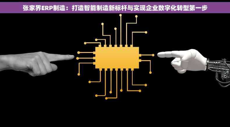 张家界ERP制造：打造智能制造新标杆与实现企业数字化转型第一步
