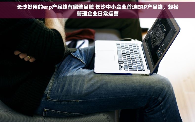 长沙好用的erp产品线有哪些品牌 长沙中小企业首选ERP产品线，轻松管理企业日常运营