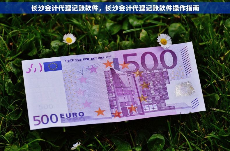 长沙会计代理记账软件，长沙会计代理记账软件操作指南