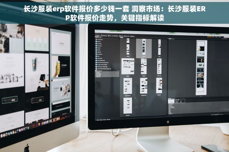 长沙服装erp软件报价多少钱一套 洞察市场：长沙服装ERP软件报价走势，关键指标解读