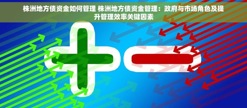 株洲地方债资金如何管理 株洲地方债资金管理：政府与市场角色及提升管理效率关键因素