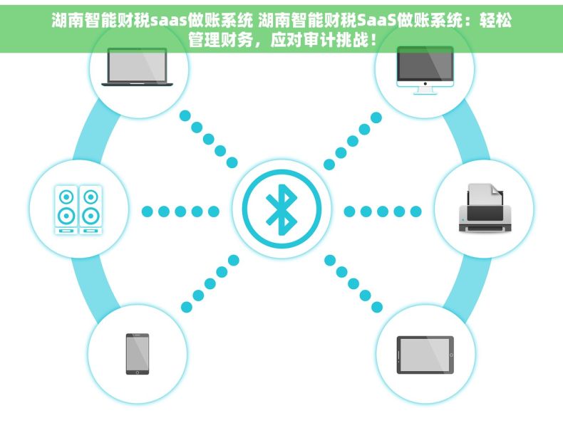 湖南智能财税saas做账系统 湖南智能财税SaaS做账系统：轻松管理财务，应对审计挑战！