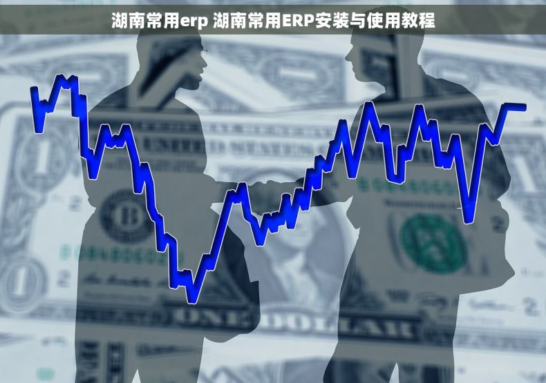 湖南常用erp 湖南常用ERP安装与使用教程