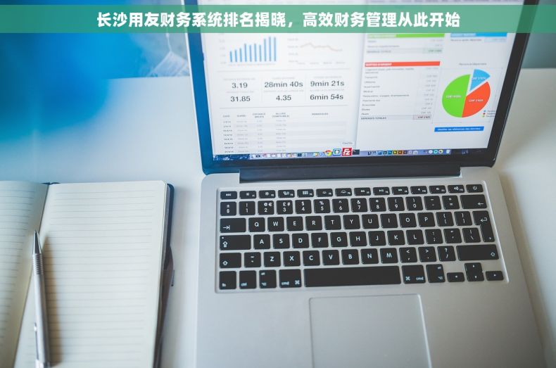 长沙用友财务系统排名揭晓，高效财务管理从此开始
