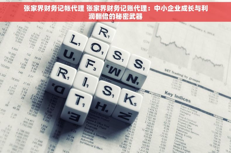 张家界财务记帐代理 张家界财务记账代理：中小企业成长与利润翻倍的秘密武器