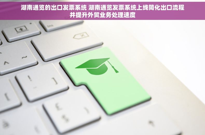 湖南通览的出口发票系统 湖南通览发票系统上线简化出口流程并提升外贸业务处理速度