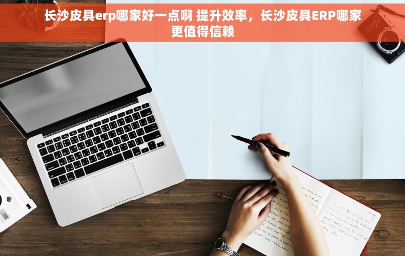 长沙皮具erp哪家好一点啊 提升效率，长沙皮具ERP哪家更值得信赖