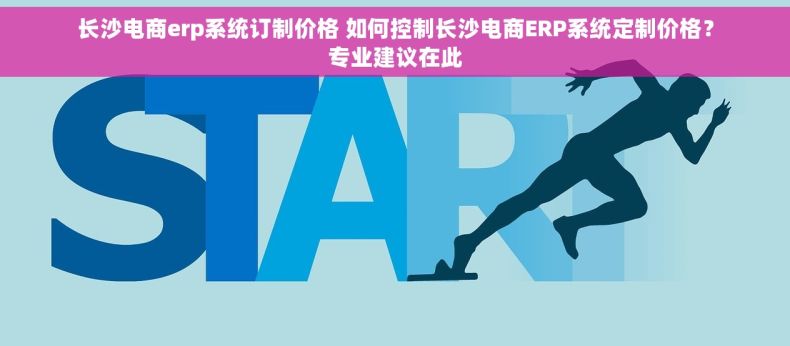 长沙电商erp系统订制价格 如何控制长沙电商ERP系统定制价格？专业建议在此
