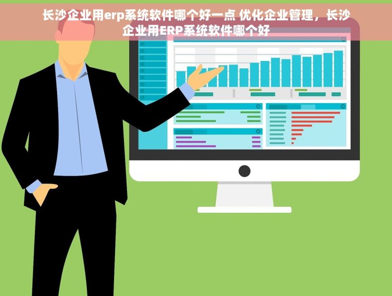 长沙企业用erp系统软件哪个好一点 优化企业管理，长沙企业用ERP系统软件哪个好
