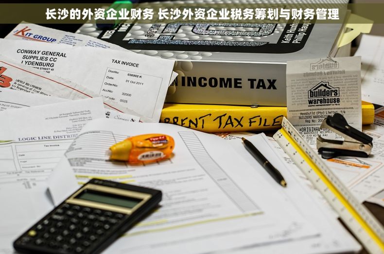 长沙的外资企业财务 长沙外资企业税务筹划与财务管理