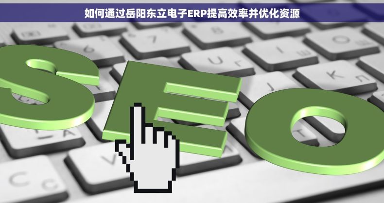 如何通过岳阳东立电子ERP提高效率并优化资源