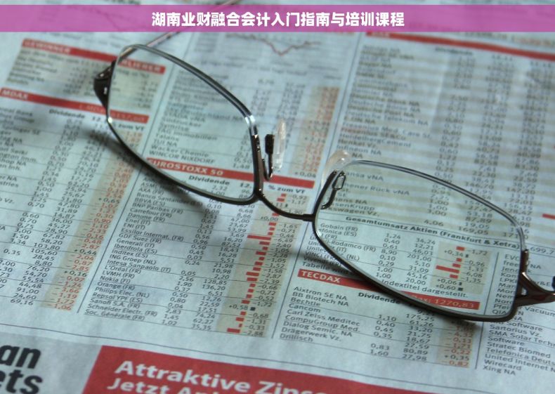 湖南业财融合会计入门指南与培训课程