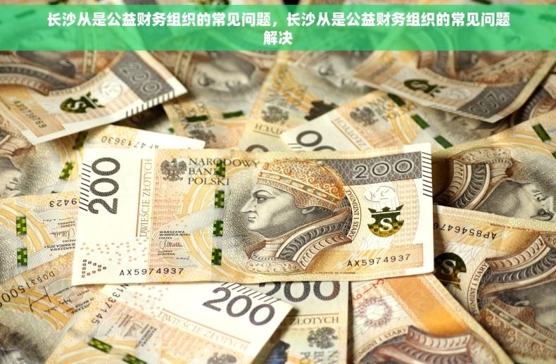 长沙从是公益财务组织的常见问题，长沙从是公益财务组织的常见问题解决
