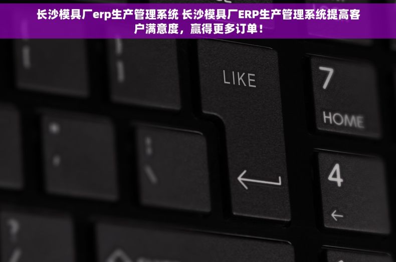 长沙模具厂erp生产管理系统 长沙模具厂ERP生产管理系统提高客户满意度，赢得更多订单！