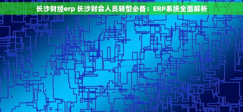 长沙财经erp 长沙财会人员转型必备：ERP系统全面解析
