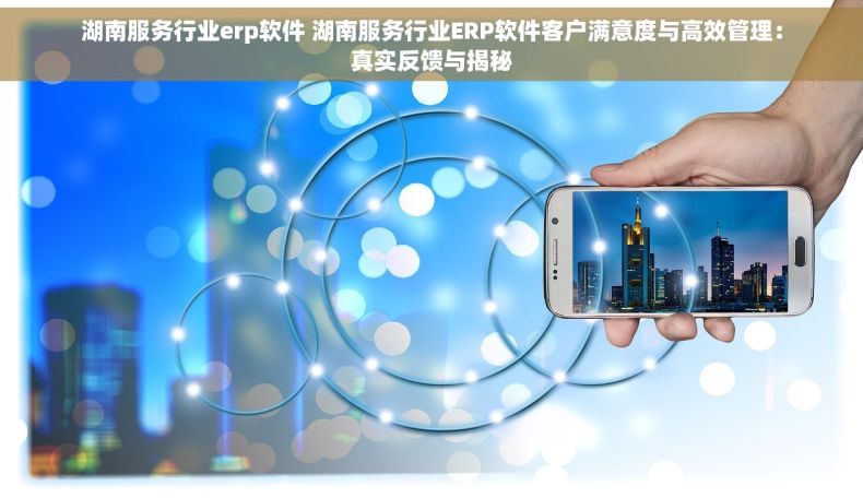 湖南服务行业erp软件 湖南服务行业ERP软件客户满意度与高效管理：真实反馈与揭秘