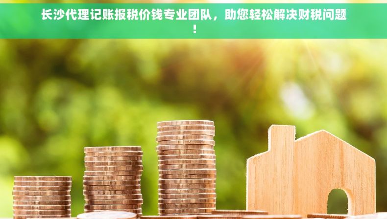 长沙代理记账报税价钱专业团队，助您轻松解决财税问题!
