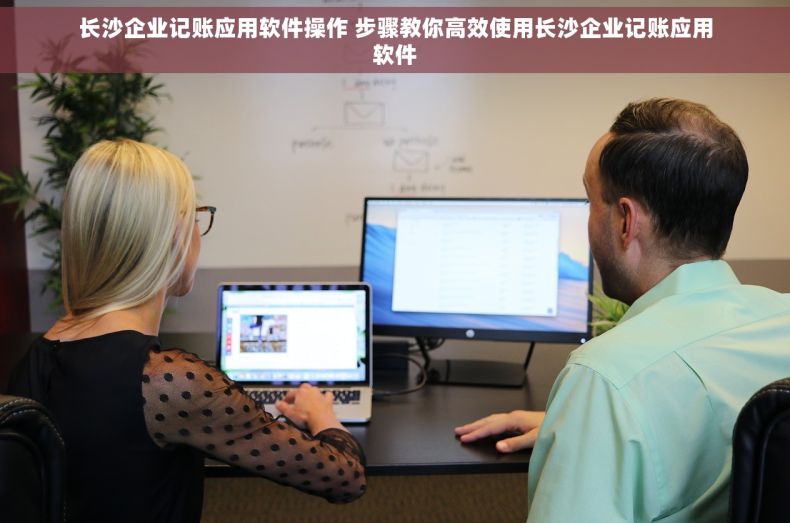 长沙企业记账应用软件操作 步骤教你高效使用长沙企业记账应用软件