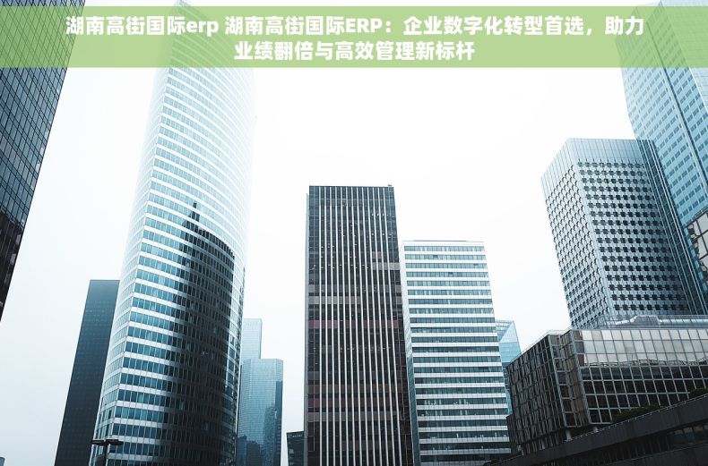 湖南高街国际erp 湖南高街国际ERP：企业数字化转型首选，助力业绩翻倍与高效管理新标杆