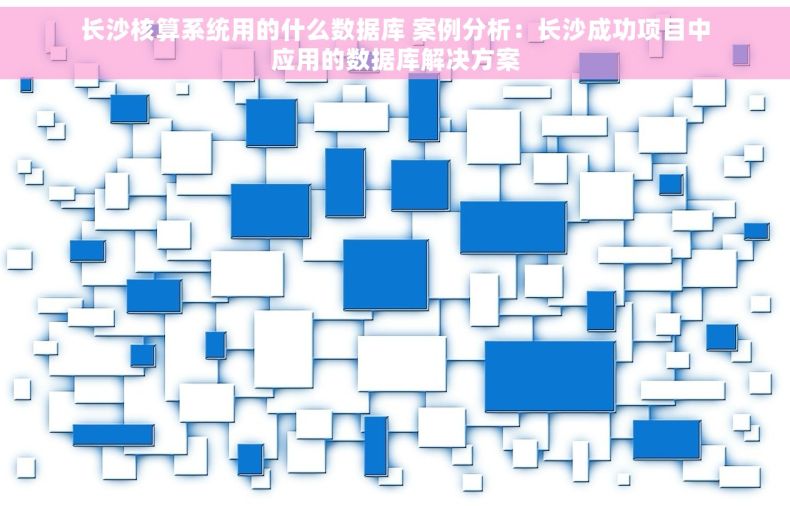 长沙核算系统用的什么数据库 案例分析：长沙成功项目中应用的数据库解决方案
