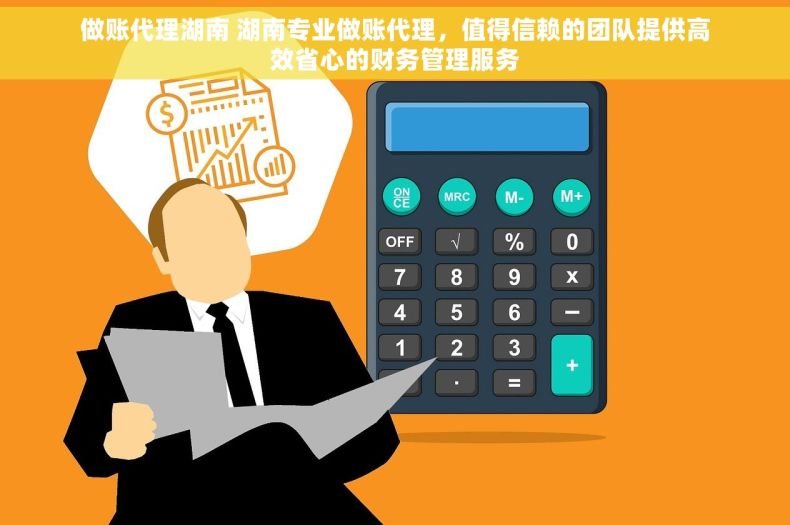 做账代理湖南 湖南专业做账代理，值得信赖的团队提供高效省心的财务管理服务