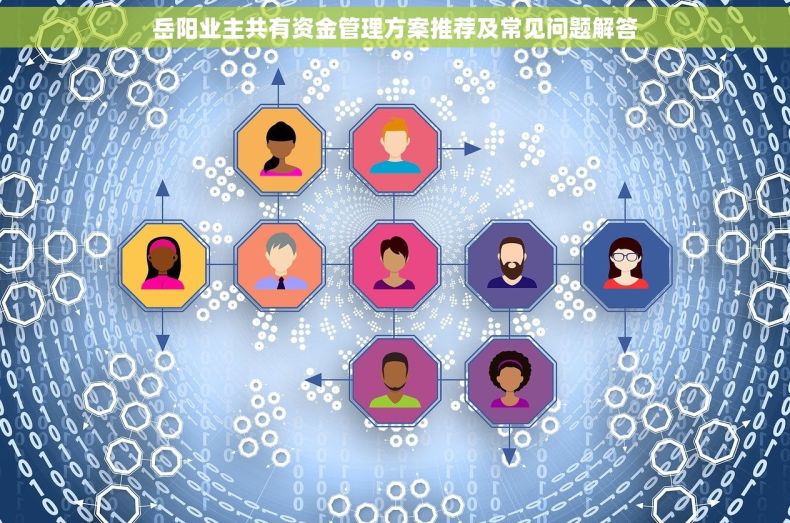 岳阳业主共有资金管理方案推荐及常见问题解答
