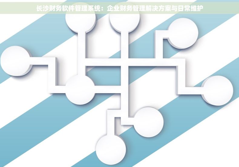 长沙财务软件管理系统：企业财务管理解决方案与日常维护