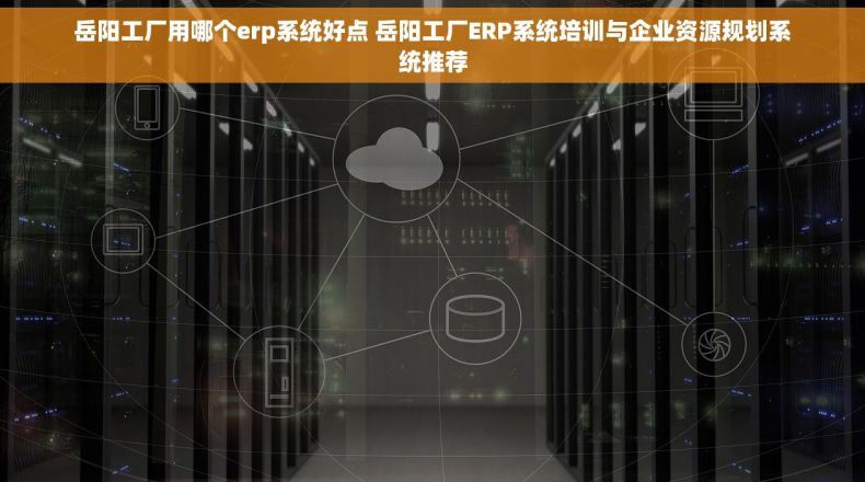 岳阳工厂用哪个erp系统好点 岳阳工厂ERP系统培训与企业资源规划系统推荐