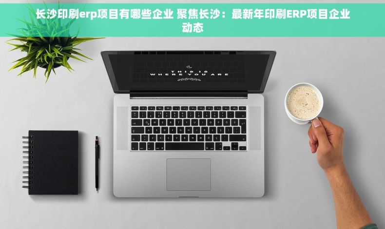 长沙印刷erp项目有哪些企业 聚焦长沙：最新年印刷ERP项目企业动态